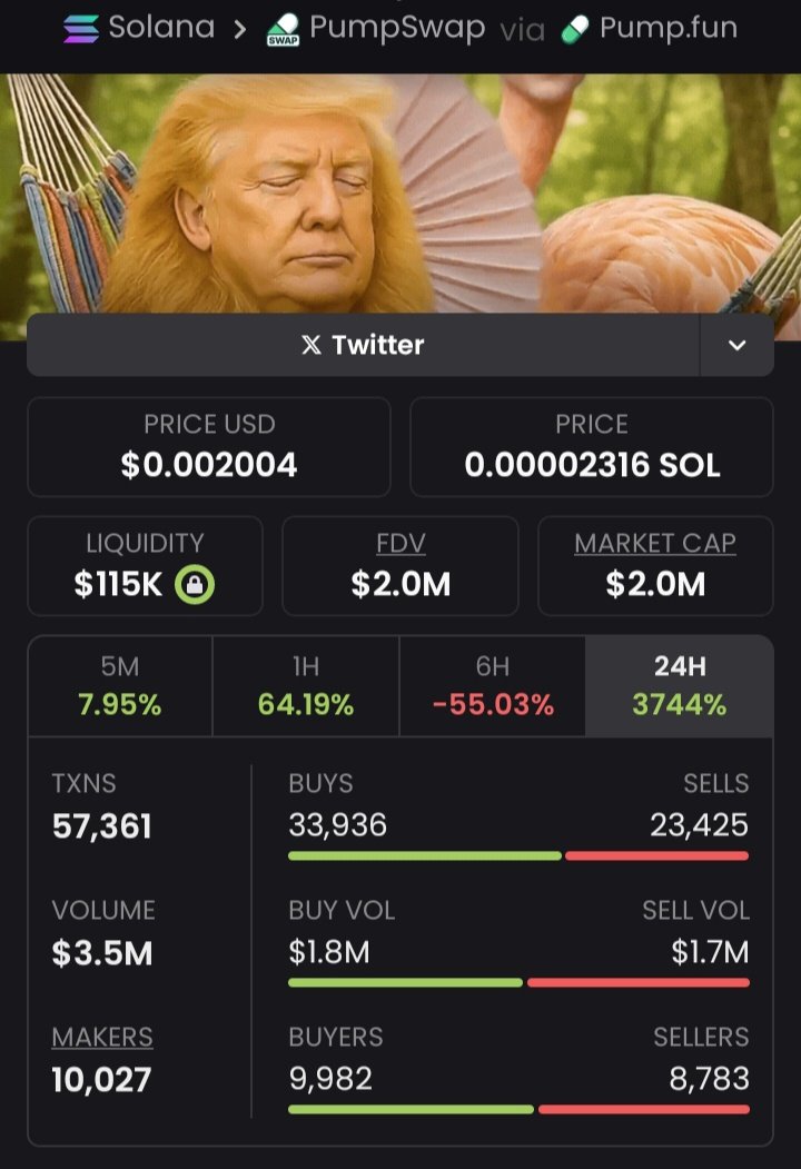 SOLANA TRADER tweet media