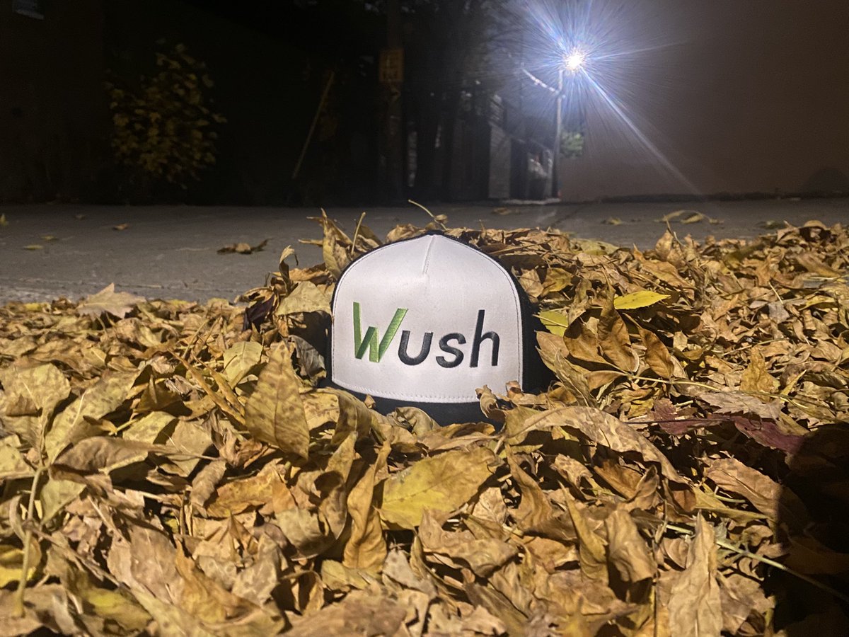 Engels 𝕏 tweet media