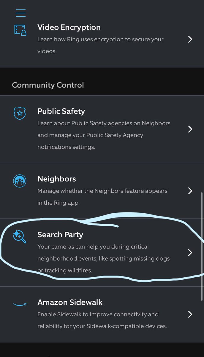 🦫 Dessy 🦫 tweet media