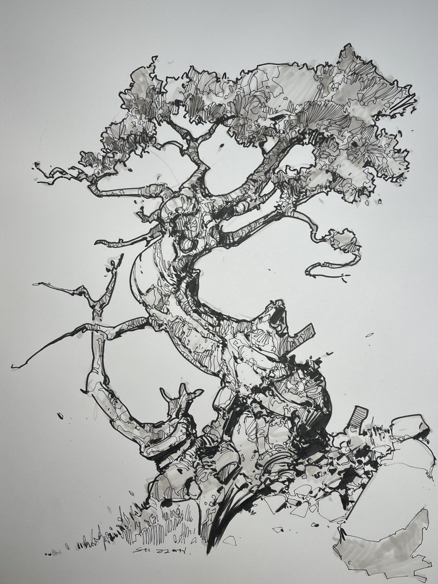 sujian_1983's tweet image. 