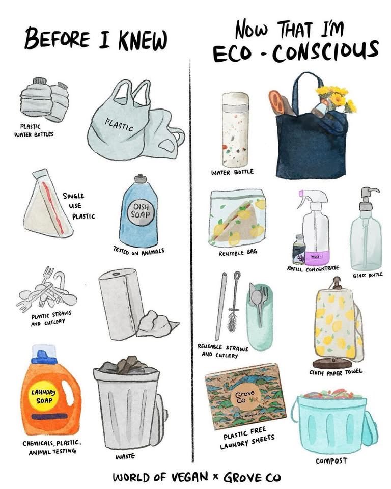 Refusing to use harmful products like single-use plastic bags, synthetic laundry detergent, etc helps you to contribute to the betterment of the climate. Recycling is a must. The goal of zero waste management is not recycling more, but using less &amp; recycling less.⁦