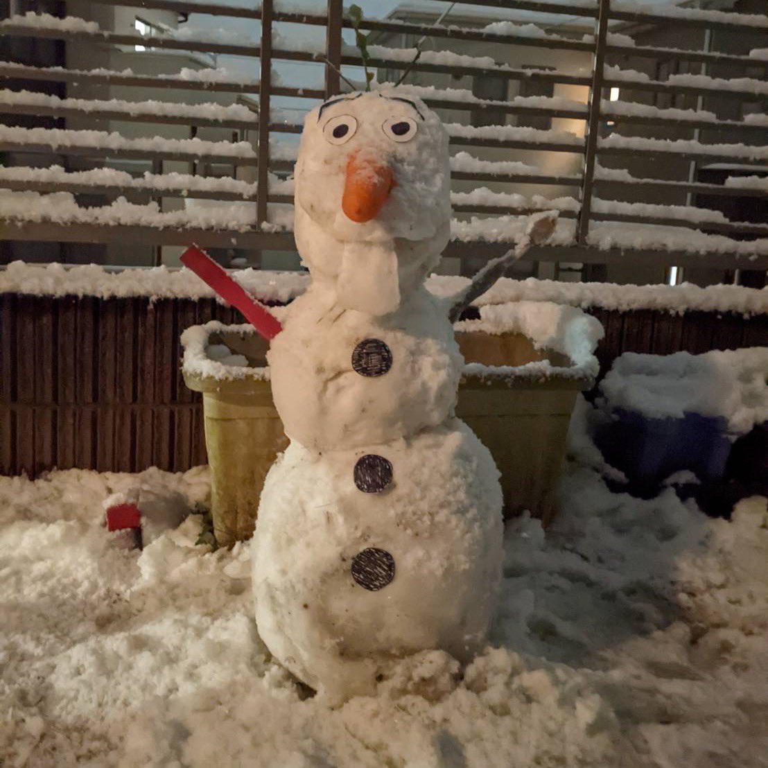 ここあ tweet media