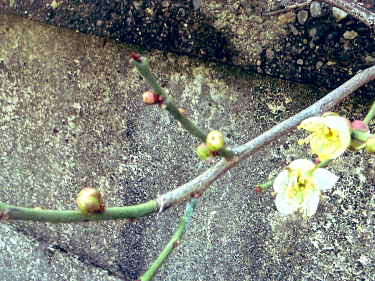 今日はいい天気☀️