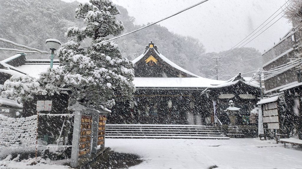 昨日17時頃の様子です。
広島市内も珍しくかなり雪が積もり、境内も真っ白になりました。現在は大分溶けましたがまだ地面が滑りやすくなっている箇所もございますので皆様お怪我のないようご注意ください。