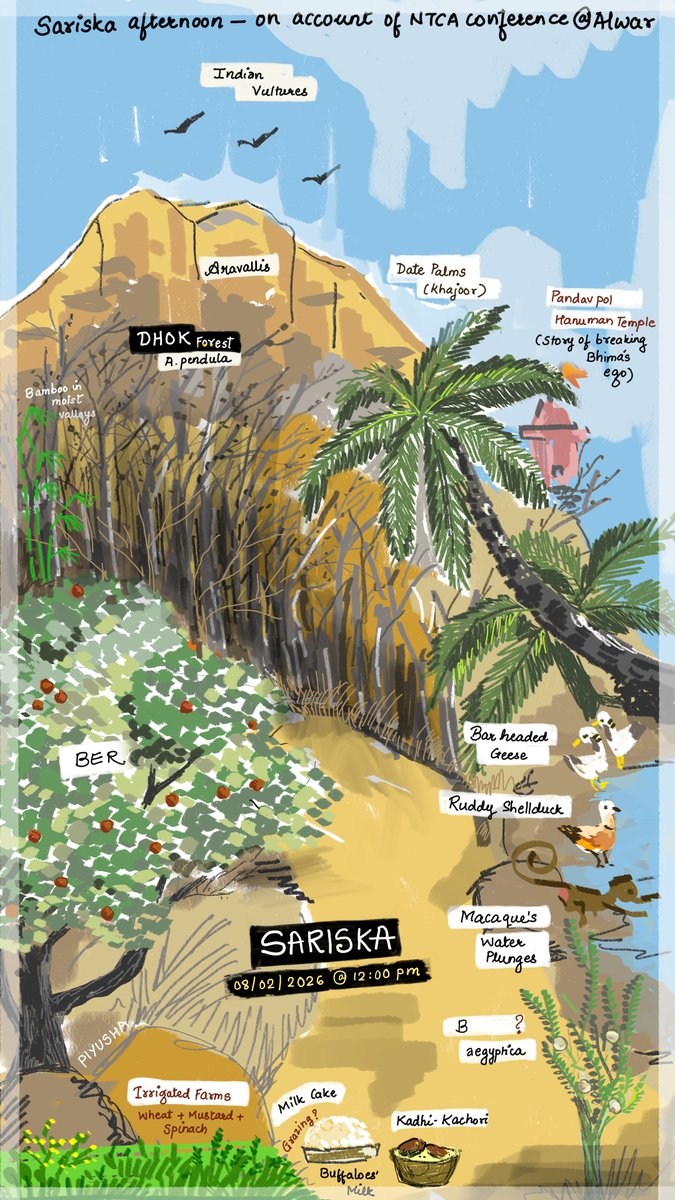 DivyaIFS's tweet photo. Some paintings urge you to travel. Some give a feeling that u are already inside that place. This gives u both ! 
@JagtapPiyusha
@LadyIFSOfficers
@ntca_india
@sariskaNpark https://t.co/qeKUeaY8x0