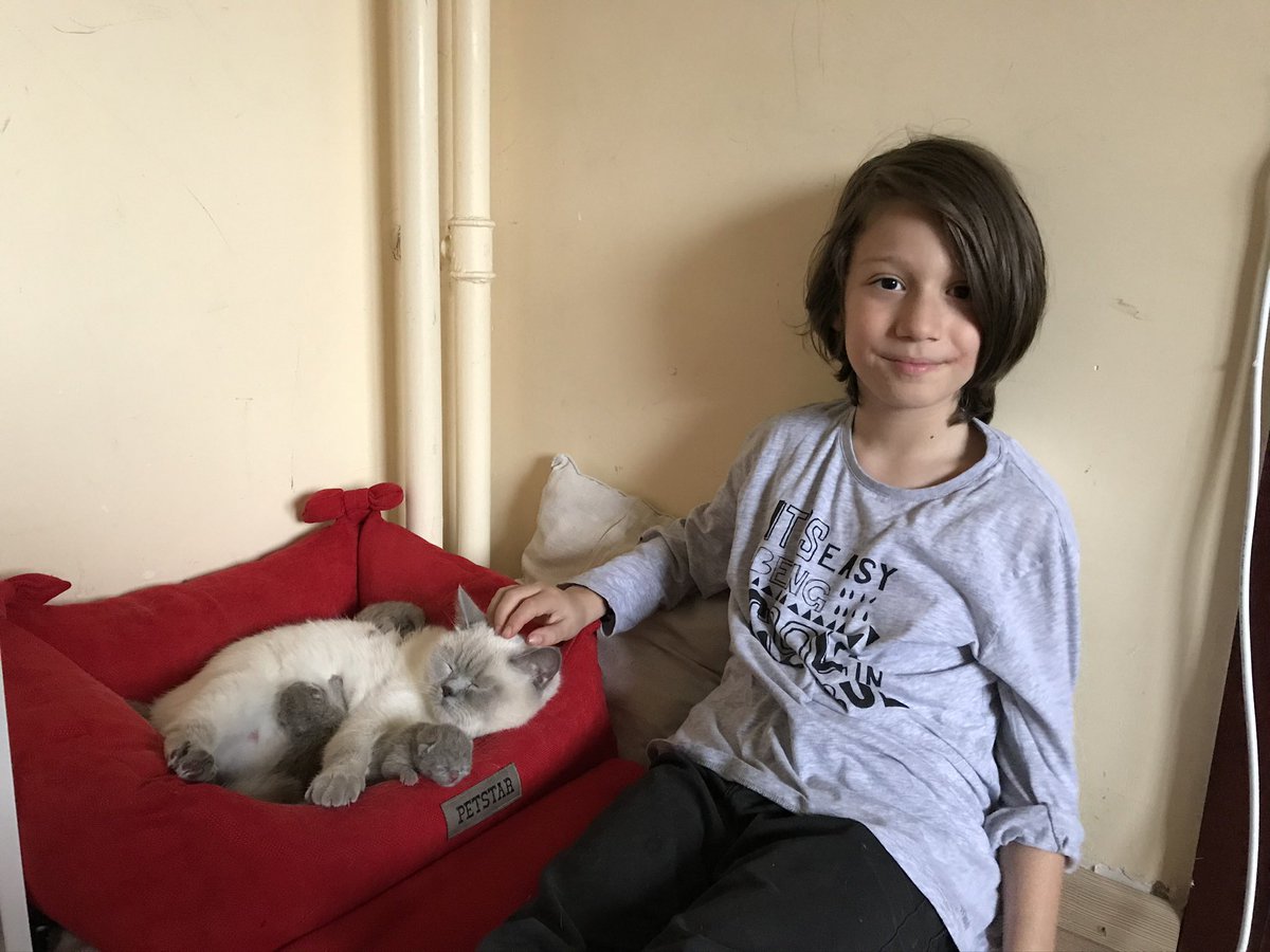 Bu çocuğun adı #OğuzArdaSel❗️

8 Temmuz #CorluTrenKatliamı nda öldürüldü!

Bugün 2767 gün oldu.
Adaleti sağlanmadı!

Adını da yüzünü de iyi EZBERLE!

<a href="/TCDDemiryollari/">TCDD-Türkiye Cumhuriyeti Devlet Demiryolları 🇹🇷</a> <a href="/TCDDTasimacilik/">TCDD Taşımacılık</a> <a href="/UABakanligi/">T.C. Ulaştırma ve Altyapı Bakanlığı</a> <a href="/BY/">Binali Yıldırım</a> <a href="/ahmetarslan36/">Ahmet ARSLAN</a> <a href="/Mcahidturhan/">Mehmet Cahit Turhan</a> <a href="/akaraismailoglu/">Adil Karaismailoğlu</a> <a href="/adalet_bakanlik/">T.C. Adalet Bakanlığı</a> <a href="/RTErdogan/">Recep Tayyip Erdoğan</a>