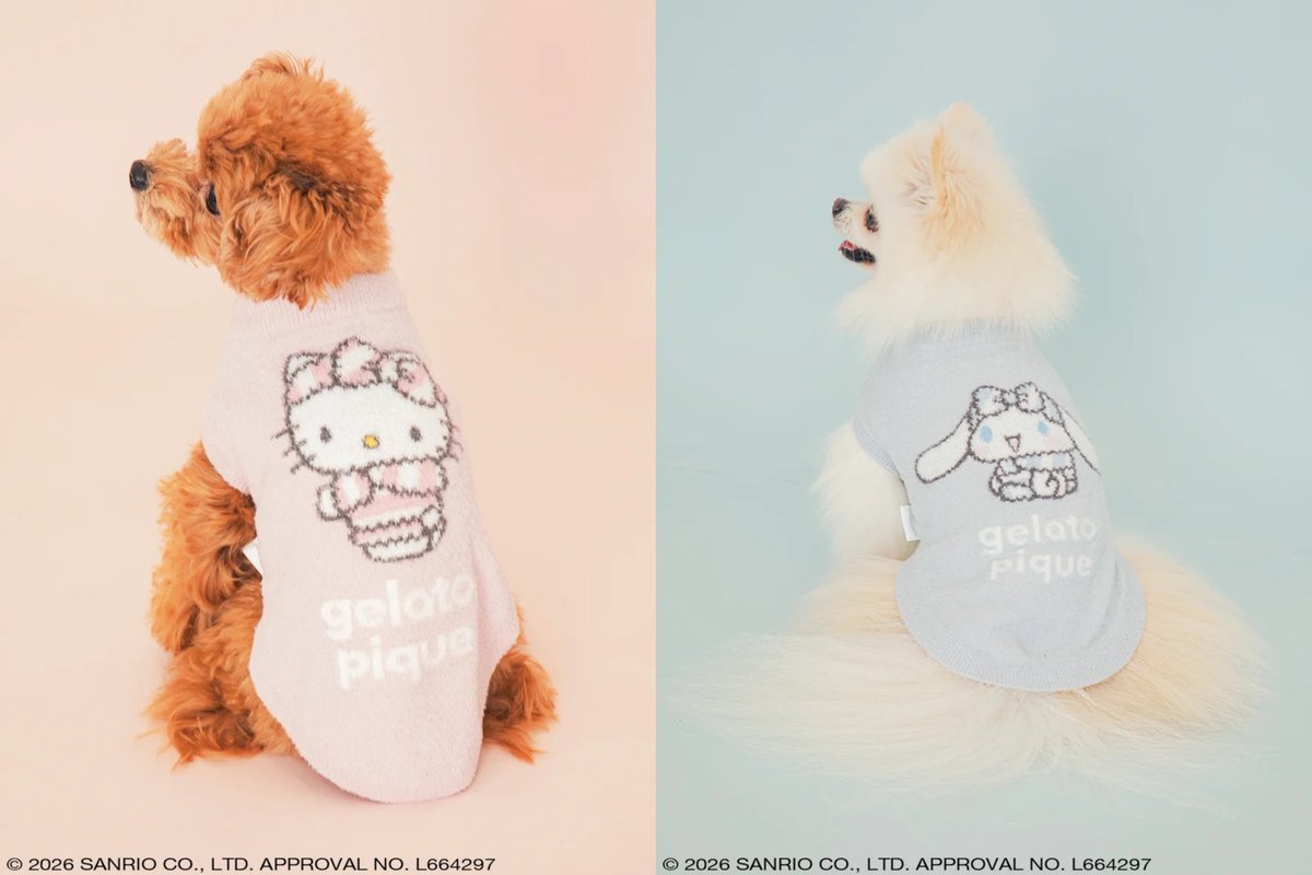 ペット用品⤵︎⤵︎