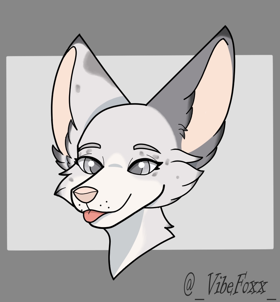 Vibefoxx🦊🐾 tweet media