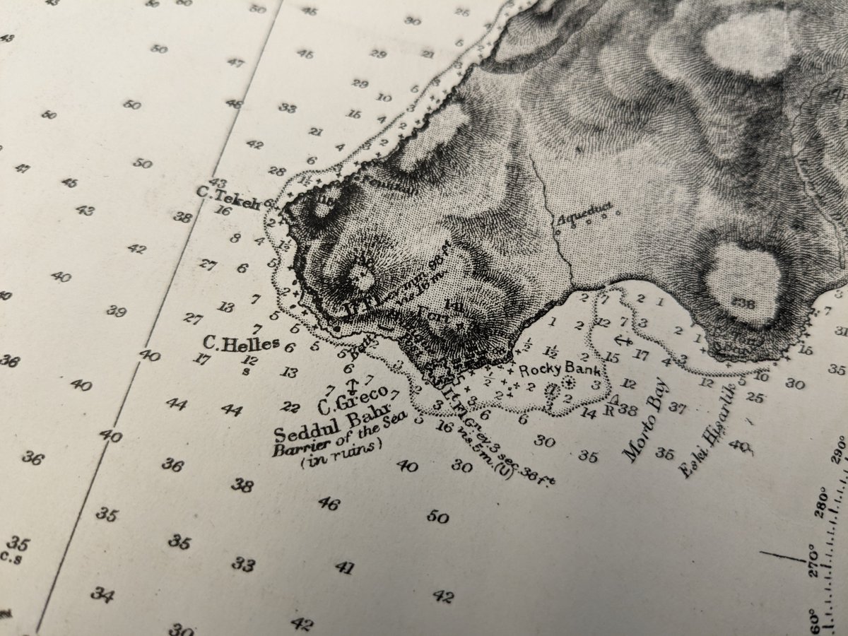 Little Gully Publishing tweet media