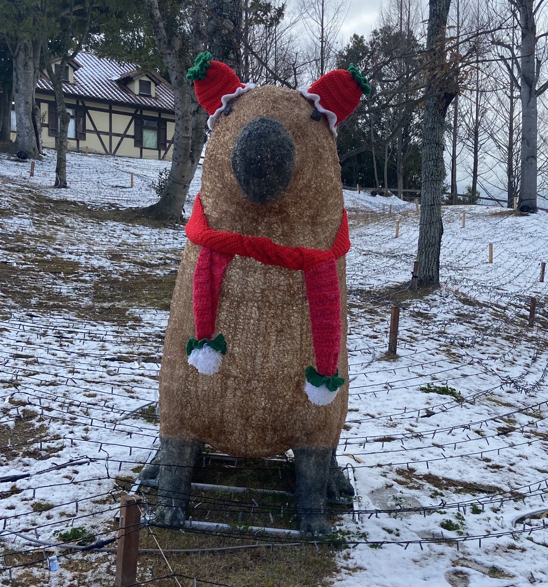 いちご🍓にバージョンアップしてた。