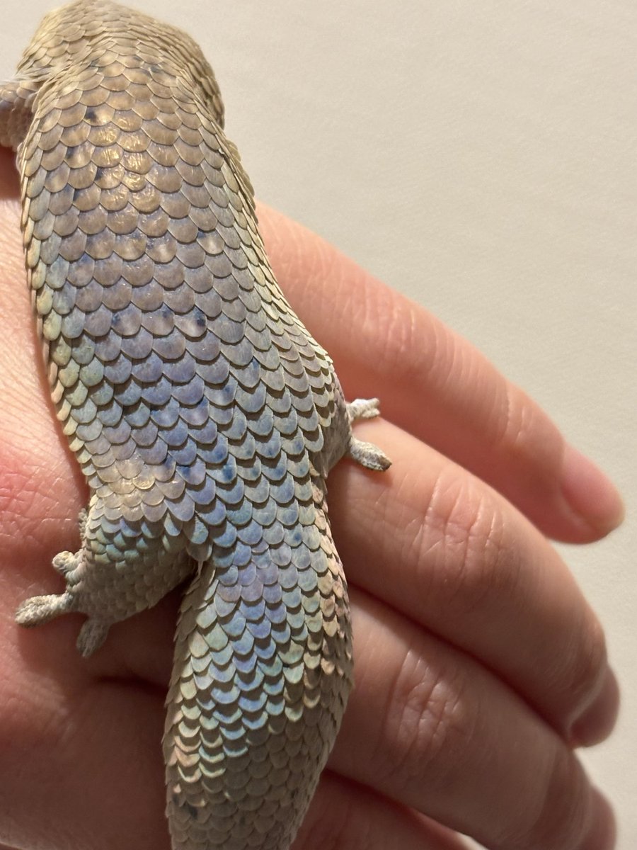 りょー❄︎ tweet media