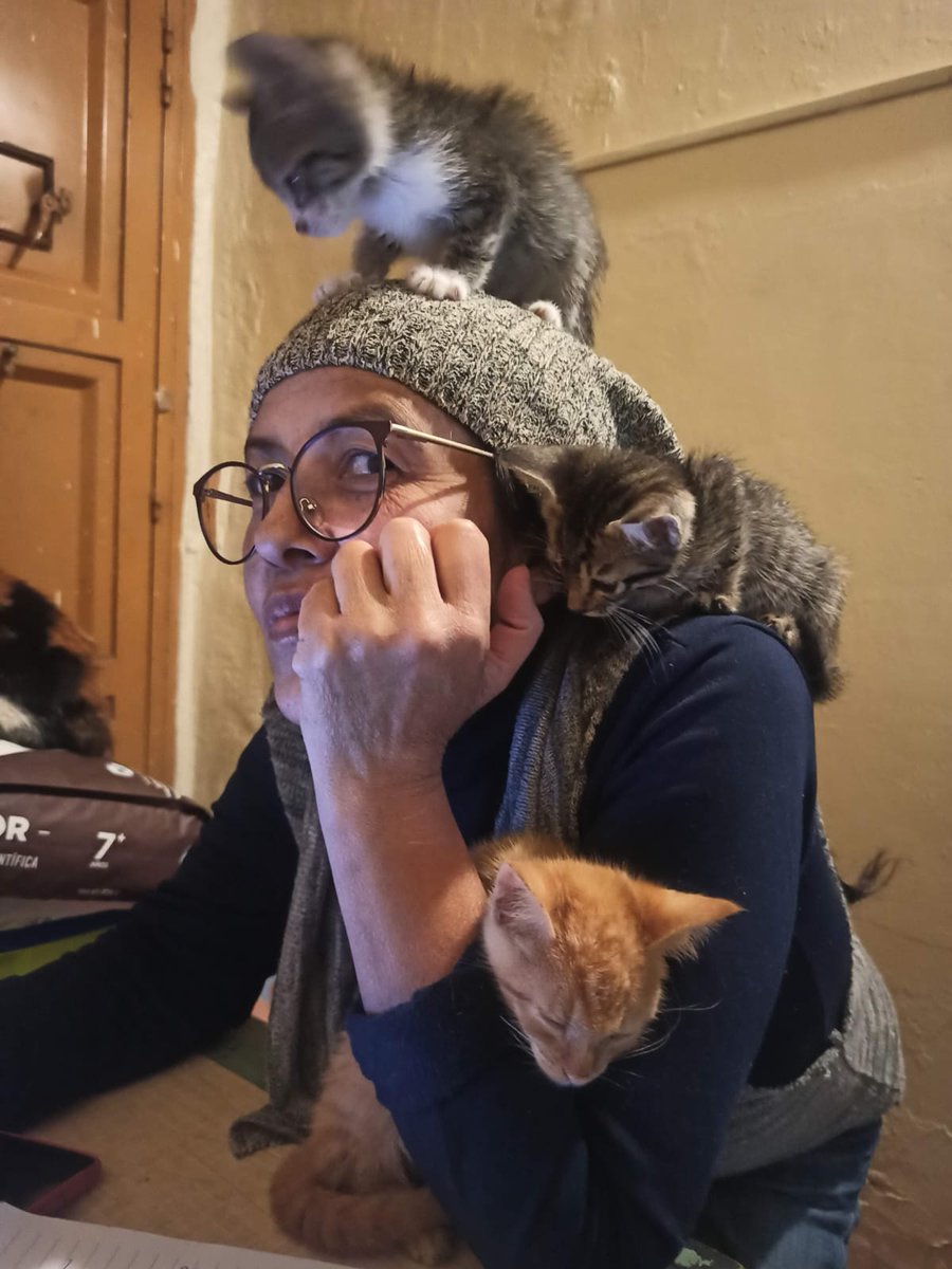 ZonaFrancaMX's tweet photo. #POLÍTICA🐱‼️ | @GaticosG: 10 años de rescate, protección y adopción de gatos en situación vulnerable.
https://t.co/Hm2rcU0vKb https://t.co/pOaudFJsh3