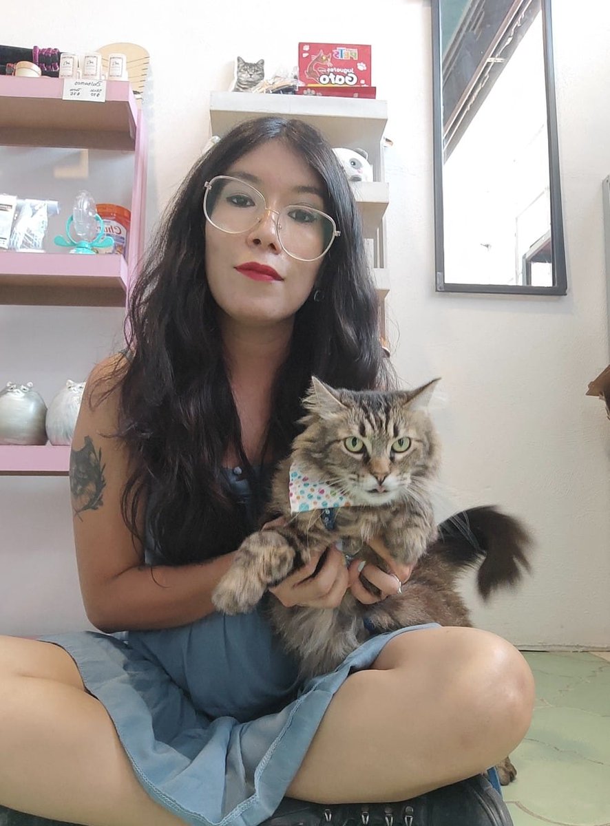 #POLÍTICA🐱‼️ | <a href="/GaticosG/">Gaticos León, Gto</a>: 10 años de rescate, protección y adopción de gatos en situación vulnerable.
acortar.link/HUOrAC