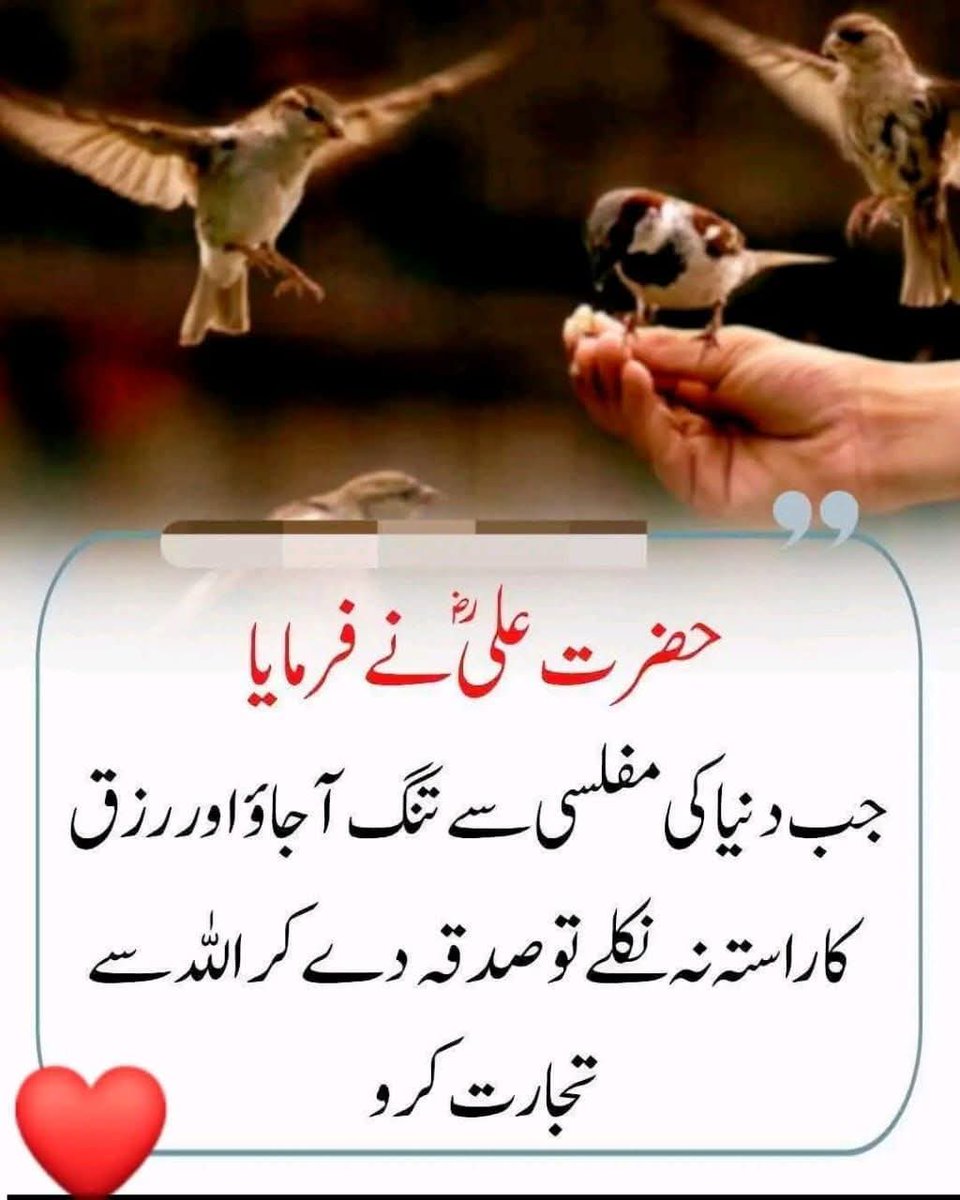 مولا علی علیہ السّلام نے فرمایا👇 💗