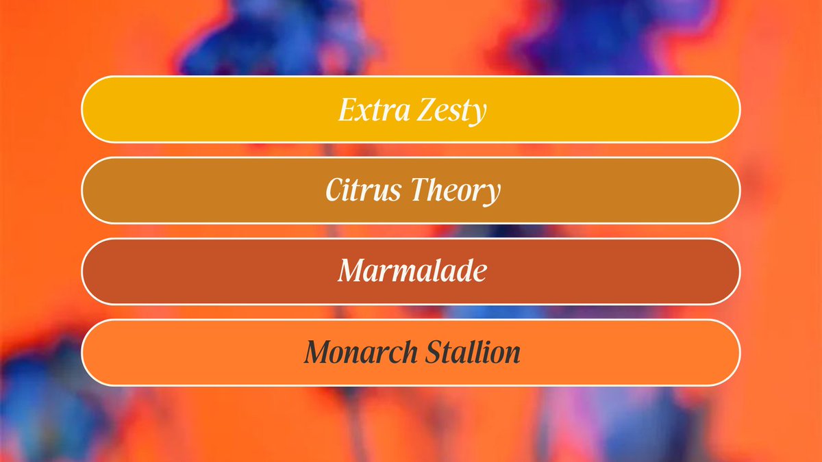 Creative Market tweet media