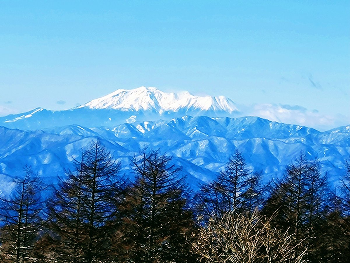 桂旅館 tweet media