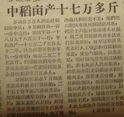 阿斗在这里 tweet media