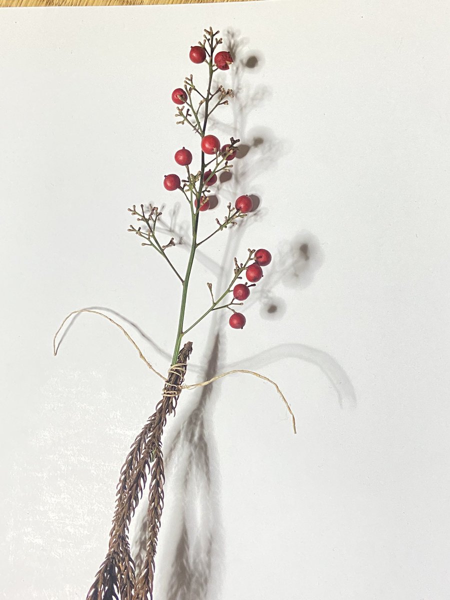 誠に勝手ながら、本日の営業は14時で終了いたします。何卒ご了承下さい。ご利用予定されていた方すみません🙇
明日定休日を挟んで水曜日より通常営業いたします。
芯から冷えた身体をまずは温めていきましょう。