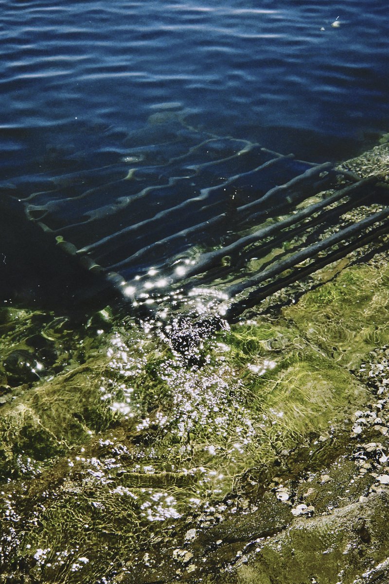 C21_Odyssey's tweet image. A few hours by the sea
#daily #seaside 
-