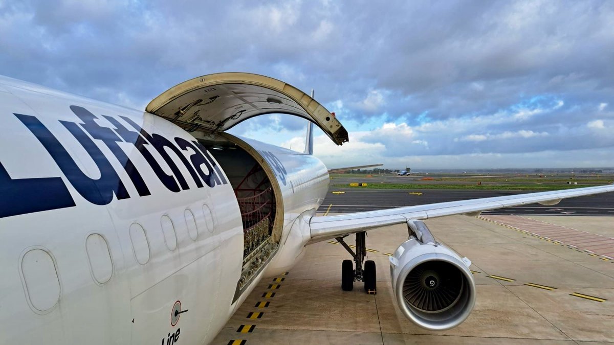 Gate7aviation's tweet photo. Premier atterrissage de la nouvelle connexion permanente #A321F entre Francfort et Rome Fiumicino de Lufthansa ! 🇮🇹
Lufthansa Cargo vol LH8344 relie #Frankfurt au nouveau nouveau hub à #Rome offrant une excellente connectivité aux services long-courriers d' l'ITA Airways. Ce routing ajoute une capacité flexible et axée sur la valeur vers l'Amérique du Sud tout en ouvrant des options via Rome pour l'Asie et l'Afrique. #LufthansaCargo #ITAairways