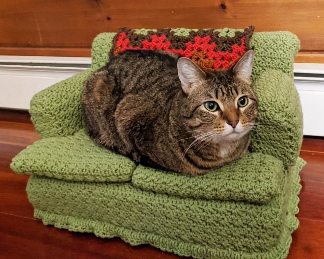 TheCatsX's tweet image. Cats and their tiny crocheted couches