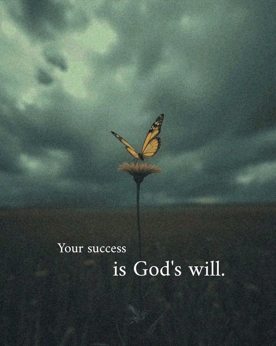 KannzyBaba's tweet image. Dear CT,
BTC's fighting back, countertrend rally kicking in around $70-71k after the flush
NodeOps hit $4.5M in Rev with ~26k deployments, and CreateOs onboards ~2k users during launch
DePIN infra stacking quietly
What are your thoughts?
#NodeOps #DePIN #BTC #CreateOS #SuperBowl