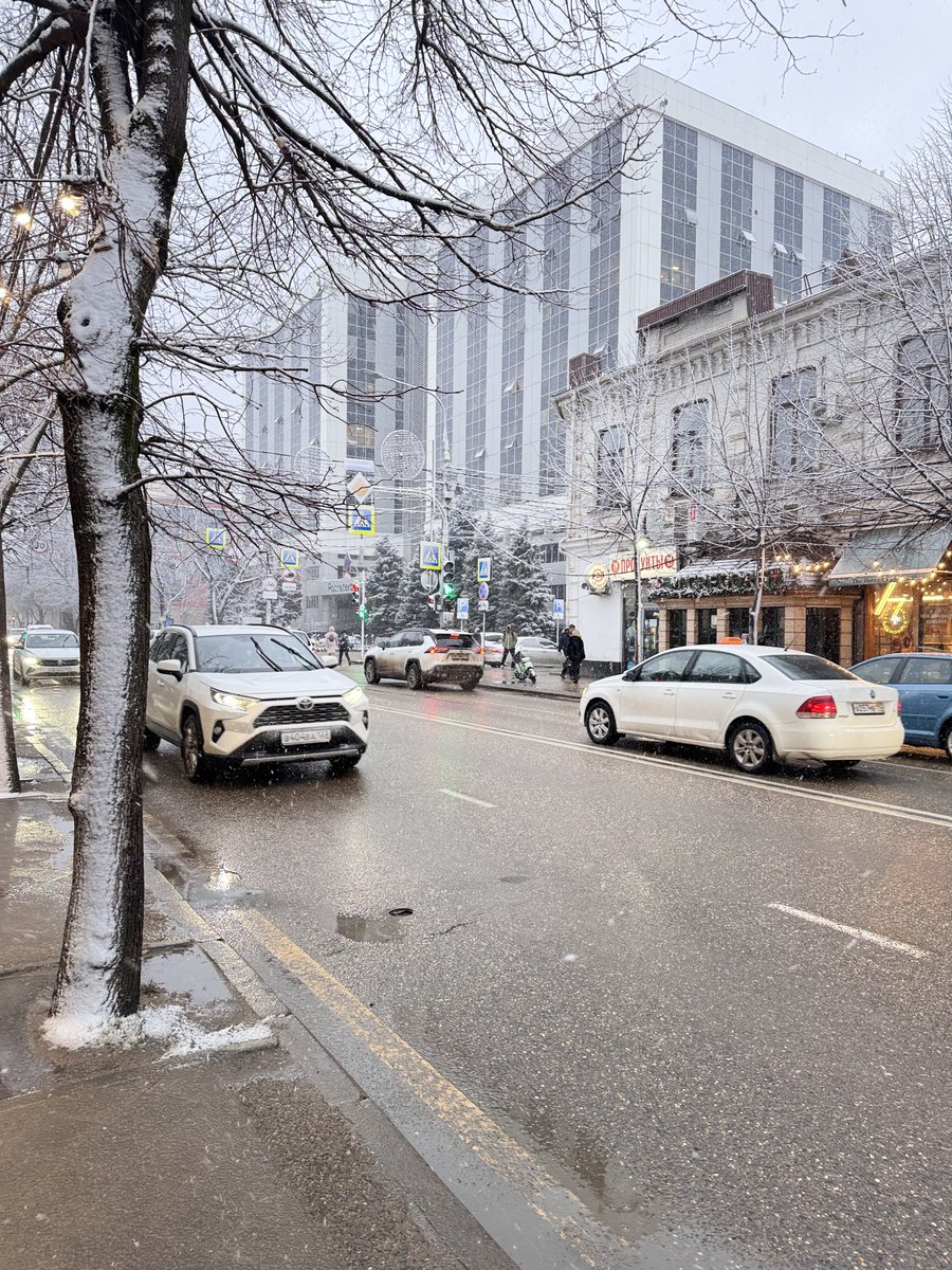 ElenaVKarpenko1's tweet image. Краснодарчик белеющий