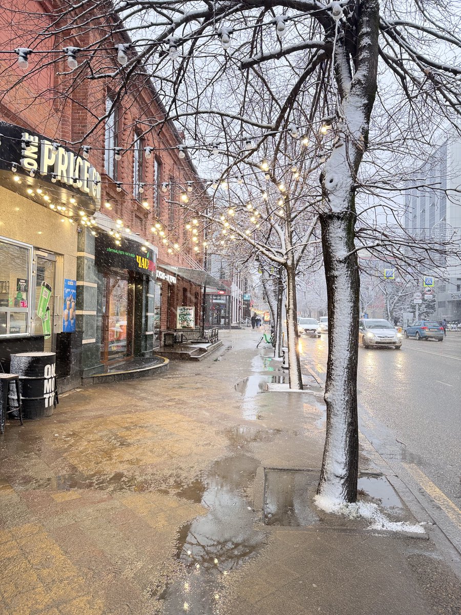 ElenaVKarpenko1's tweet image. Краснодарчик белеющий