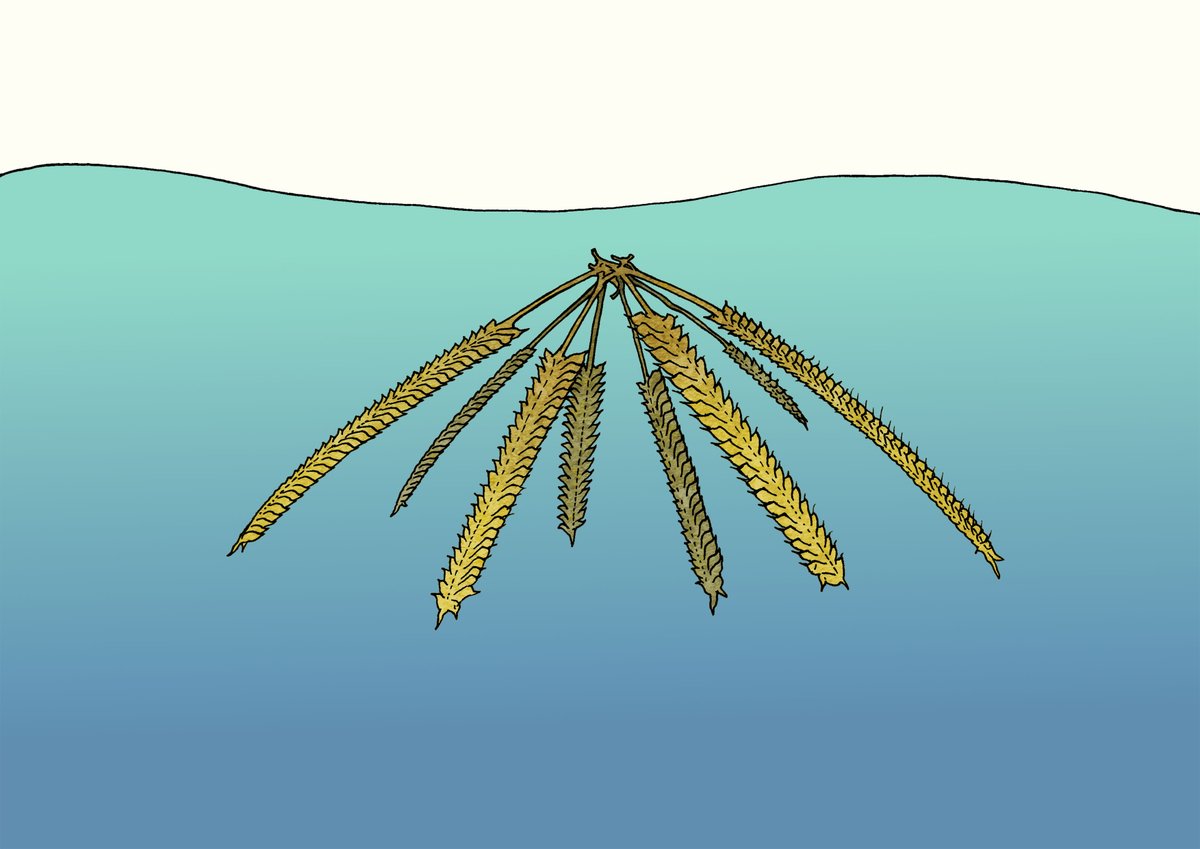 北村雄一の火星人宣伝ラジオ　Radio Martian tweet media