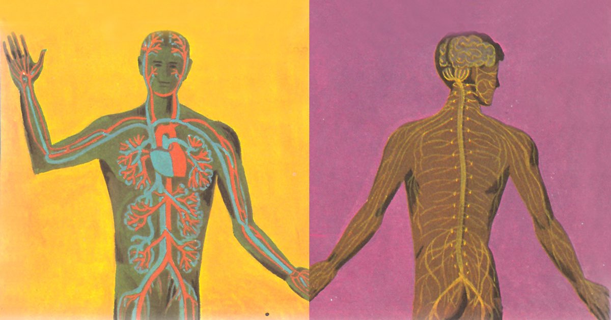 ii7_8's tweet image. " إن أفضل طريقة لتهدئة وتنظيم جهازك العصبي هي التواصل مع الأشخاص الذين تشعر معهم بالأمان.
لم نُخلق لنشفى بمفردنا. "

The best way to soothe and regulate your nervous system is by connecting with people you feel safe with. 
We are not designed to heal alone.