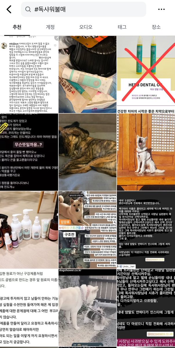 2021년도 사건이라 모르시는 분이 많은 것 같네.. 인스타에 태그만 쳐도 당시 상황 좌라락 나옴. 

묶인 진돗개한테 풀린개가 들이밀고 ’친구야 친구~‘하고 묶멍이가 싫다는 시그널 보냈는데 그걸로 자기개 물렸다고 진도는 진도다~ 하던 분. 

당시 펜션사장님이 씨씨티비 다 공개함.