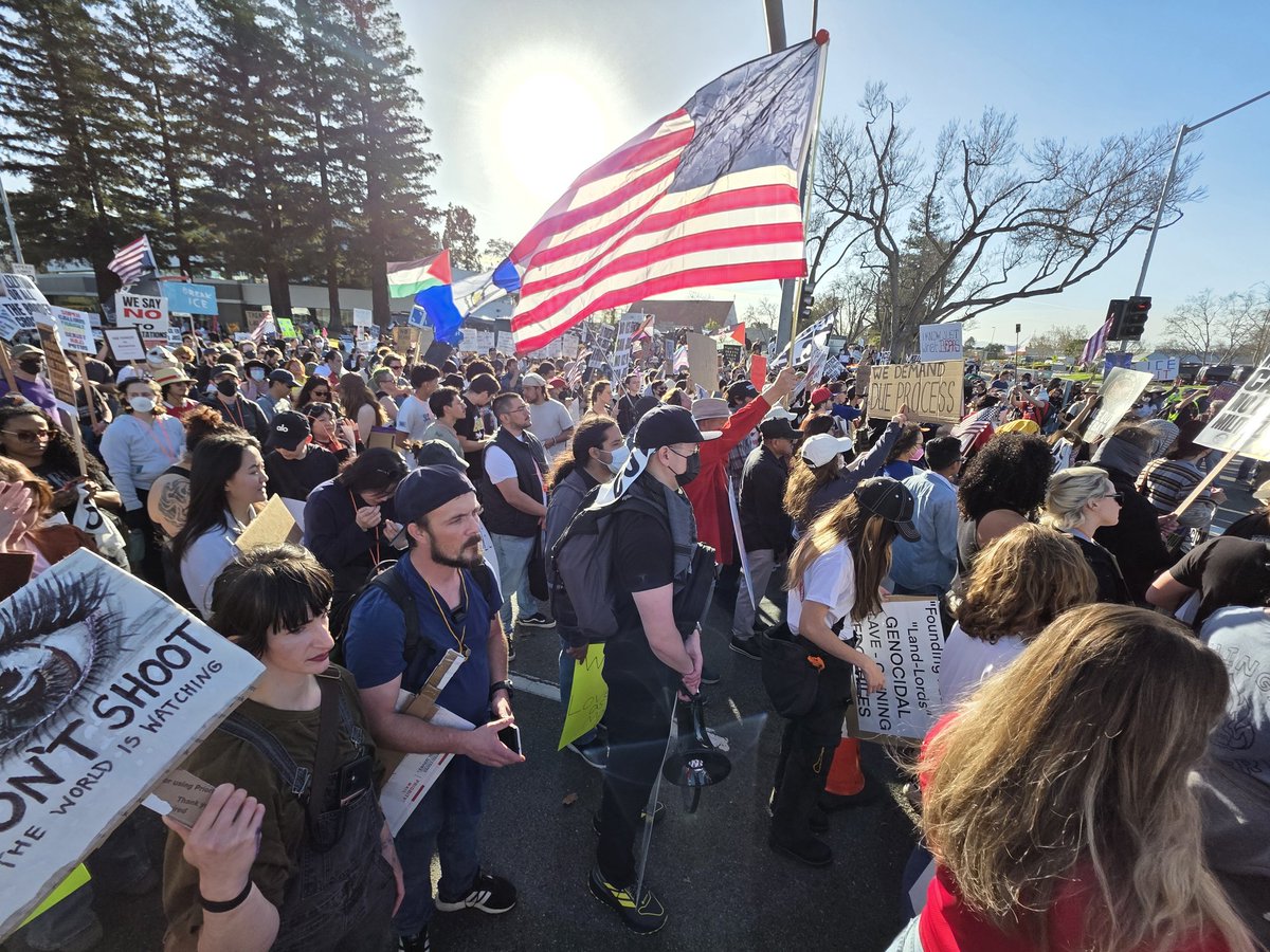 Peter Corless 🇺🇲 🇮🇪 🇺🇦 tweet media