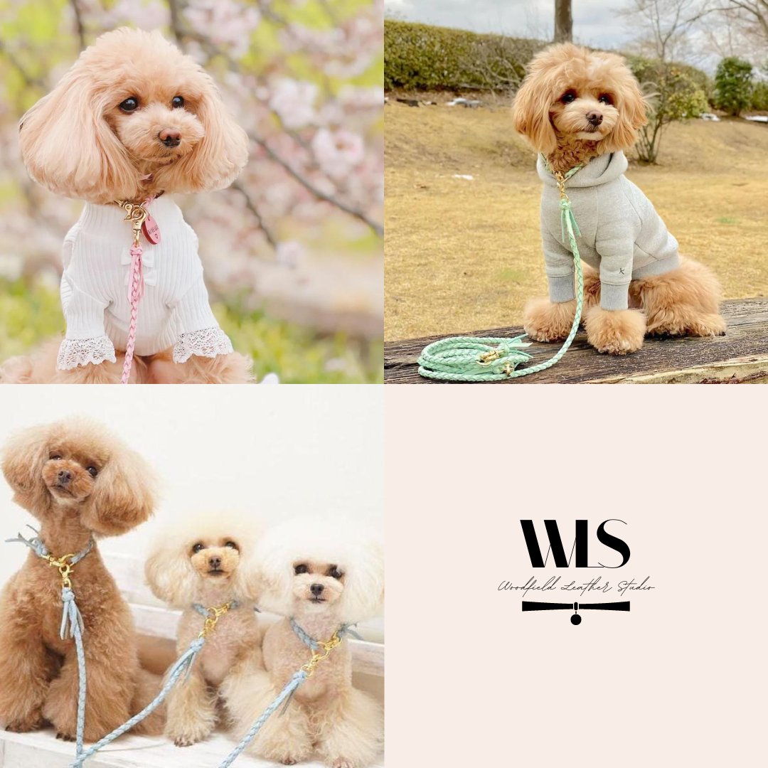 Woodfield Leather Studio(本革の首輪・リード・ハーネスの専門店