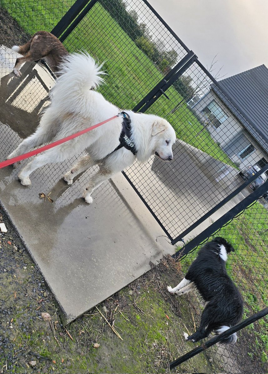 SmartMoveHQ's tweet image. Good morning legends, touch some grass &amp;amp; let's make today count.