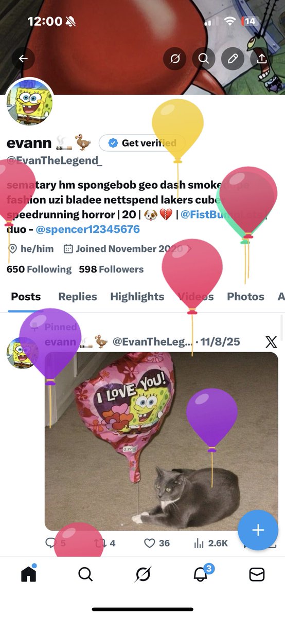 evann 🚬🦤 tweet media