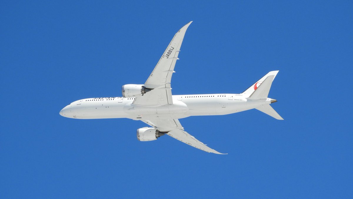 スカイ tweet media