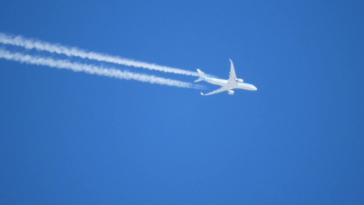 スカイ tweet media