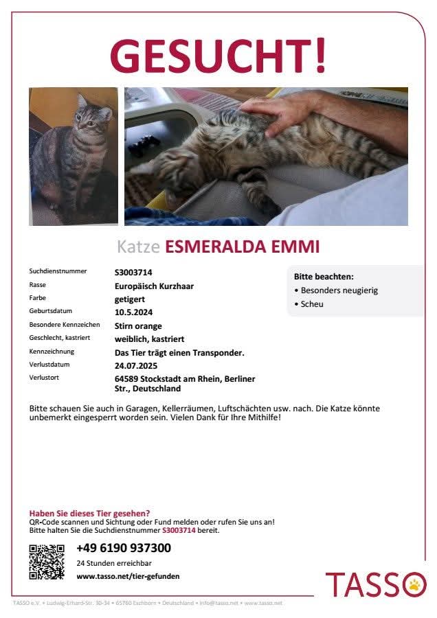 Wir vermissen immer noch unsere Emmi.  Seit 24.7.2025 in 64589 #Stockstadt