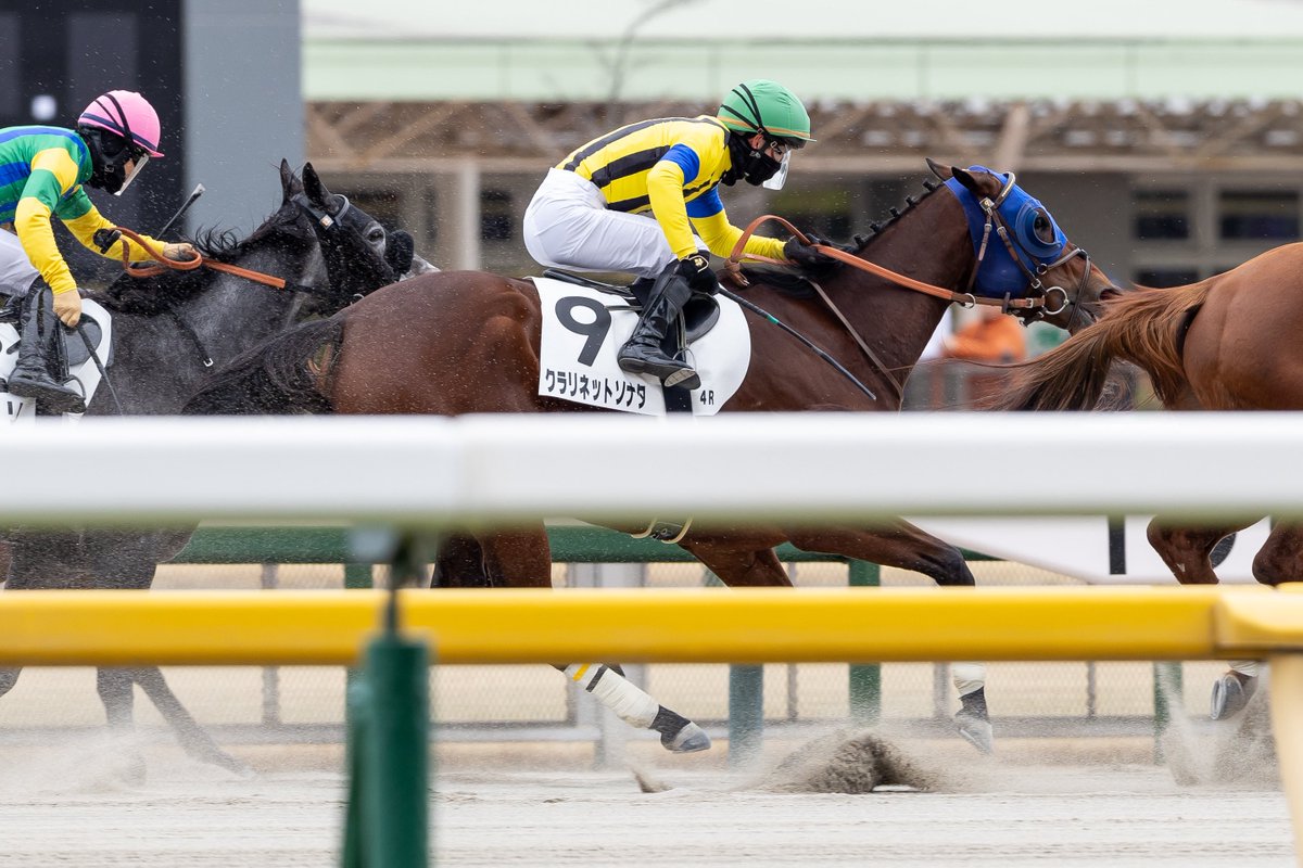 strakrxx's tweet photo. 260207 東京4R #3歳未勝利🥉

 #菅原明良 #Akira_Sugawara
 #クラリネットソナタ #ナダル産駒 #田中博康厩舎 https://t.co/XW6q3XptjH