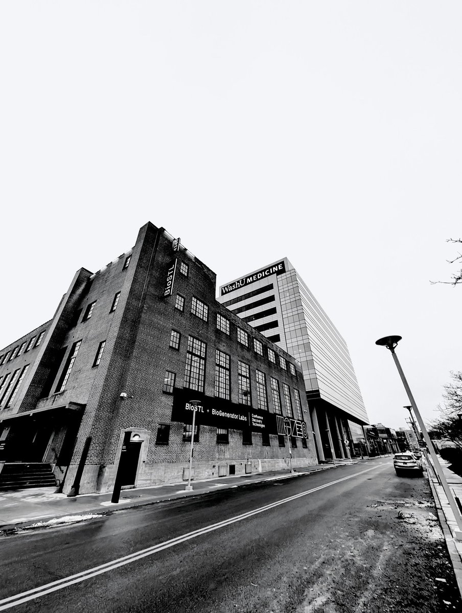 vintiga's tweet image. Duncan Avenue

#DuncanAvenue #BioSTL #RandomShot #Downtown #DowntownStLouis #StLouis #WalkAbout #PhotographyIsArt #Photography #BlackAndWhite #BlackAndWhitePhotography #Pixel10 #Pixel10Pro #Pixel10ProXL #PixelPhotography #ShotOnPixel #GooglePixel