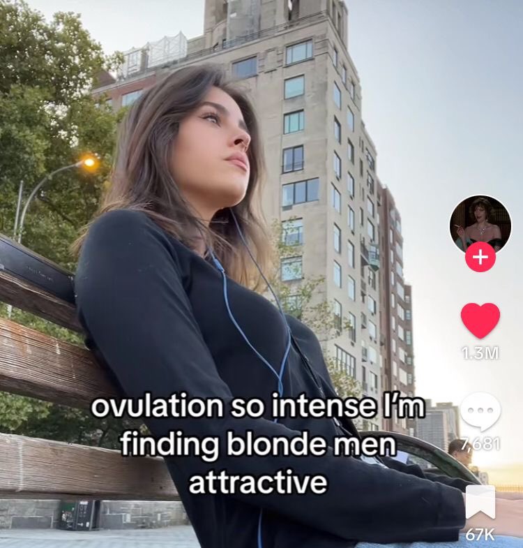 Out Of Context Animals (@animalscontexts) on Twitter photo 