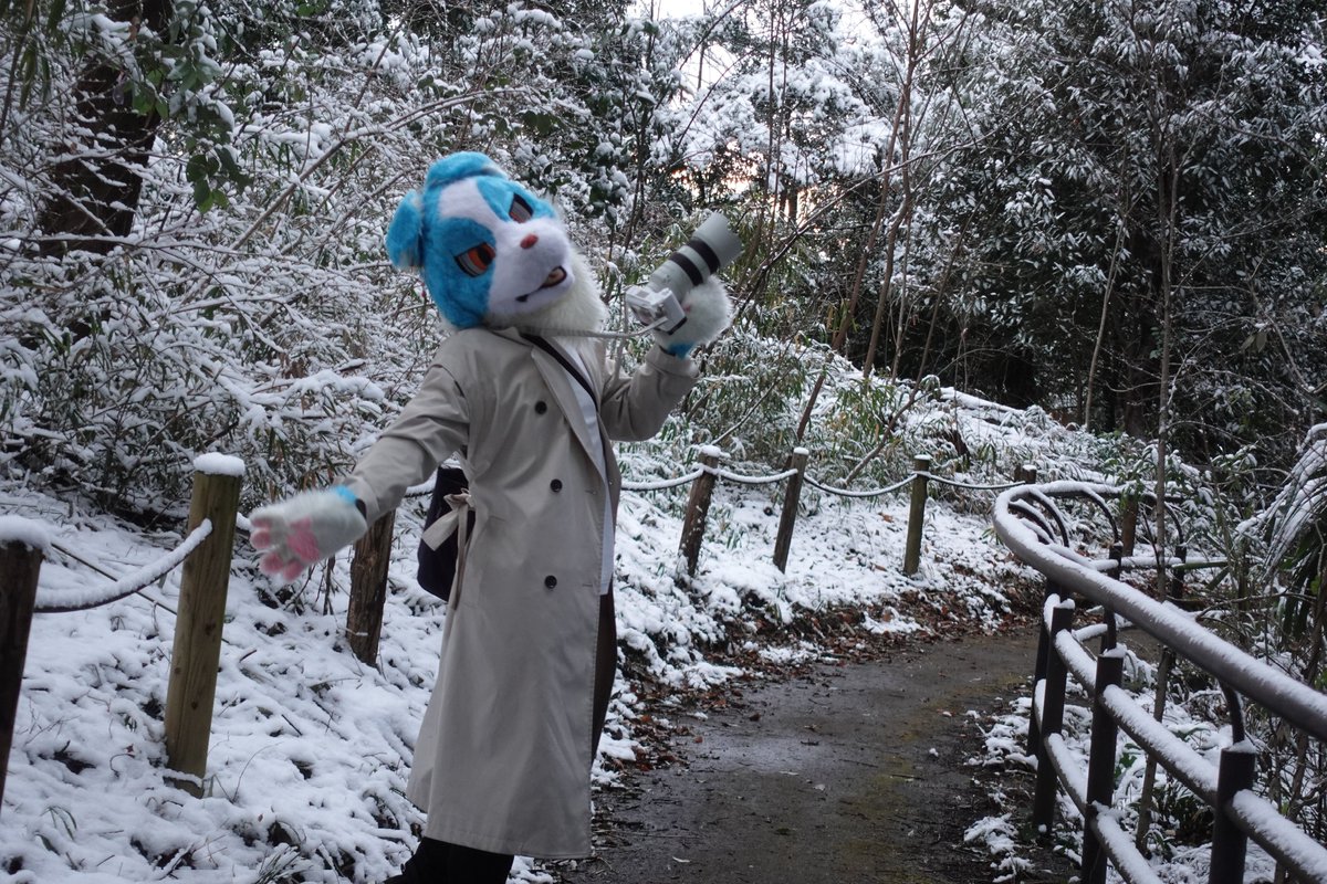 kagejun つきかげ工房 Next▷#FURRYRΛVE vol.2 (@kagejunfox) / Posts / X