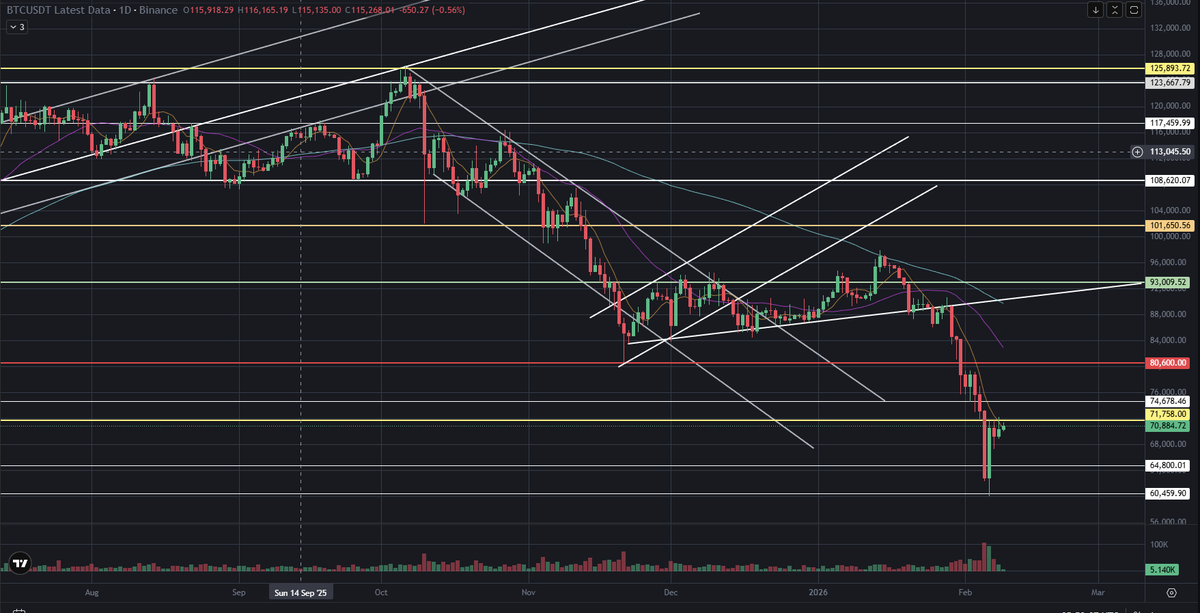 Faithless Insomniac(XenoCh) Ξ🗿 tweet media