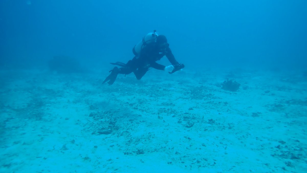 海上自衛隊　沖縄基地隊【公式】 tweet media