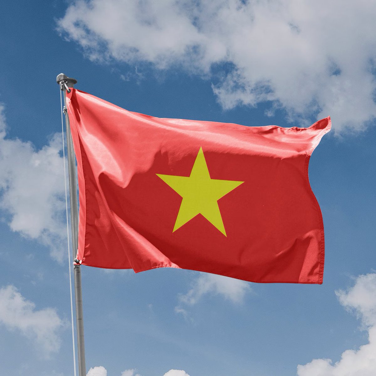 Crypto India tweet media