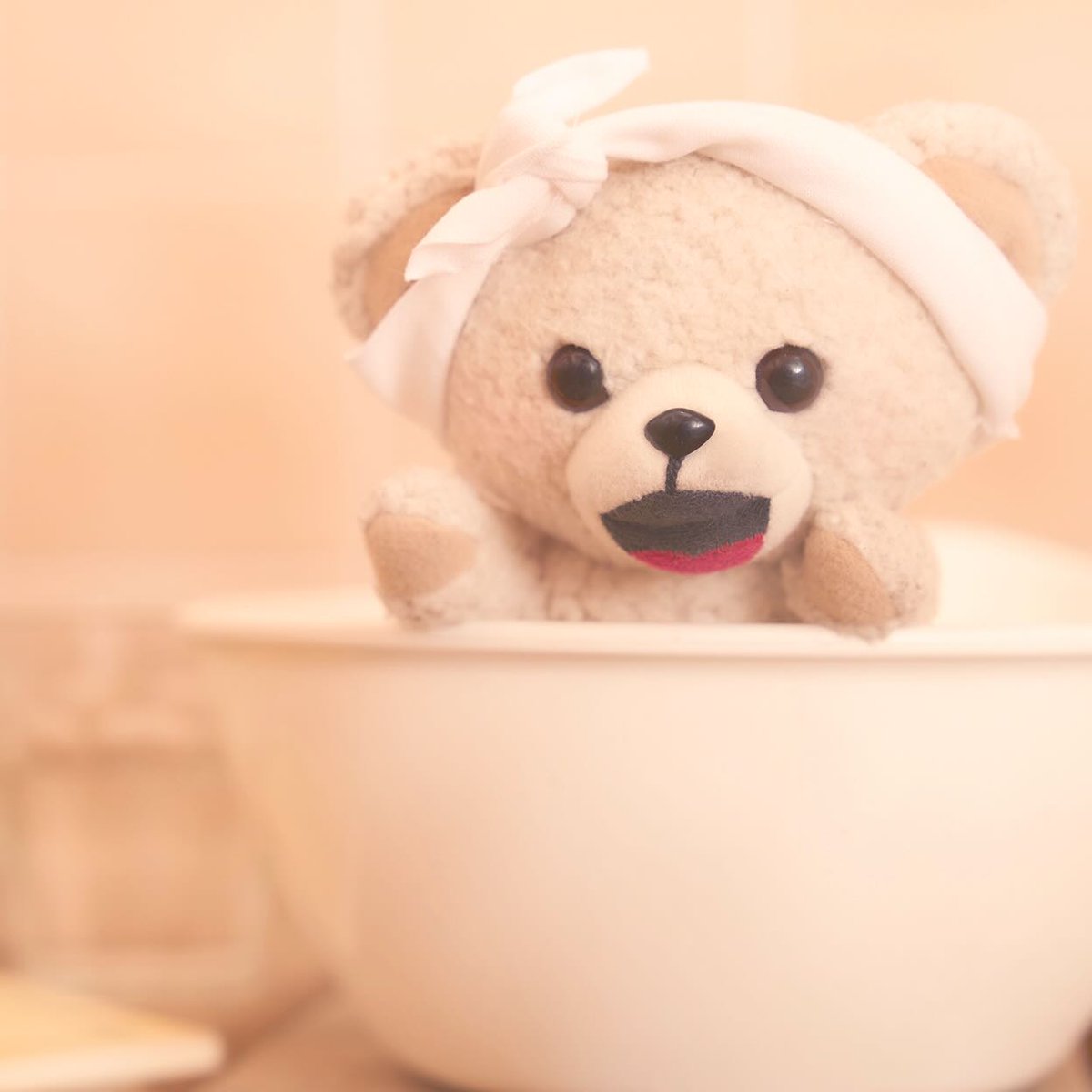 ファーファ (@fafa_bear) / Posts / X