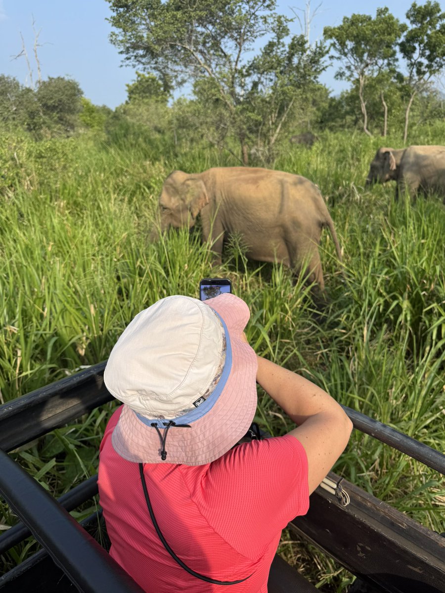 ottleyoconnor's tweet image. We spent the afternoon with the elephants not in the room! 
#backpacking #SriLanka
#teacher5aday #notice #Hurulu