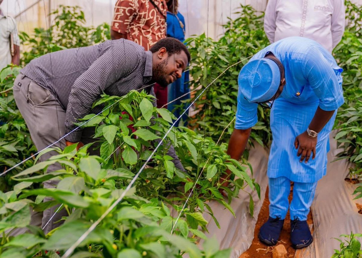 c_icontv's tweet photo. ICYMI
FG and IITA Forge Path for Youth-Led Agriculture Hubs

Read more 👇
https://t.co/7UprdXnkfx https://t.co/xSqzUOLpq3