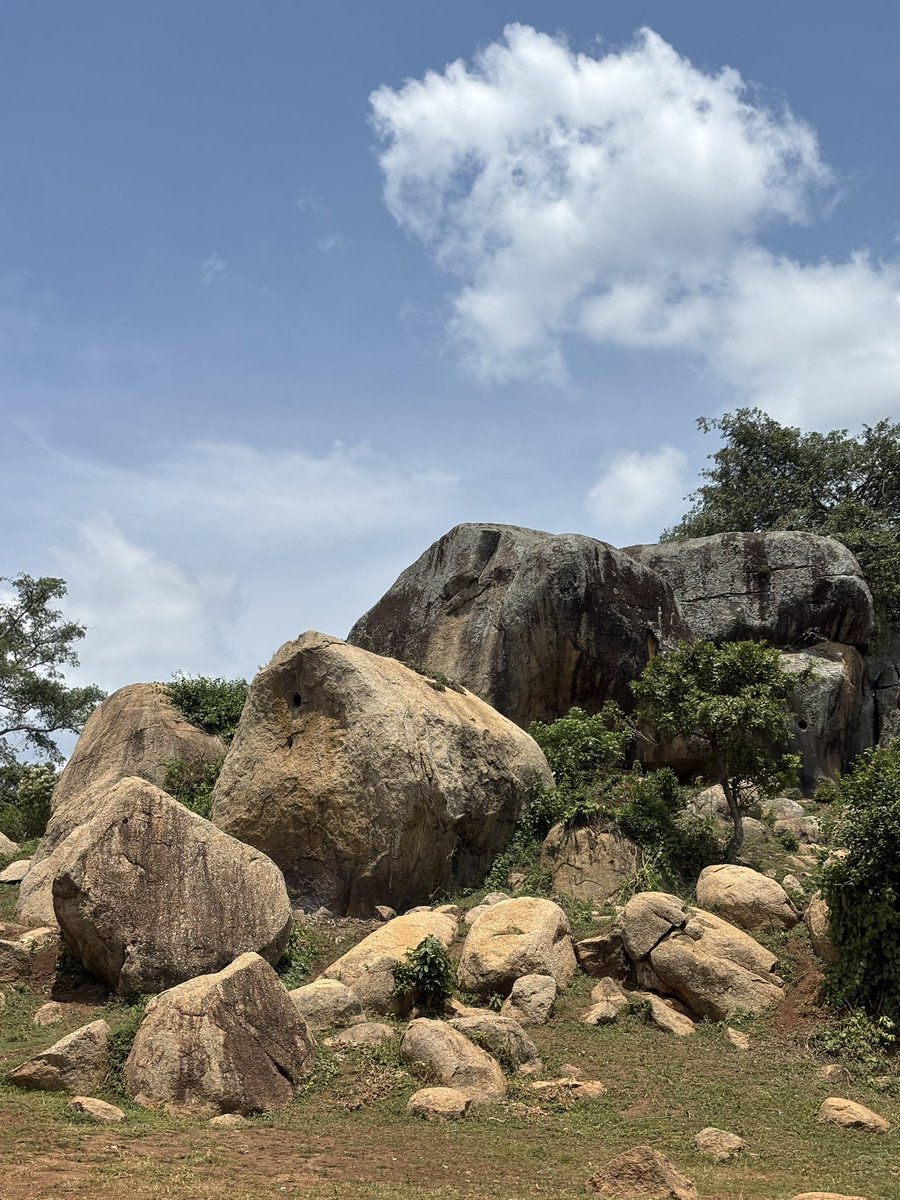 Counsel MwijukyeIvan⚖ tweet media