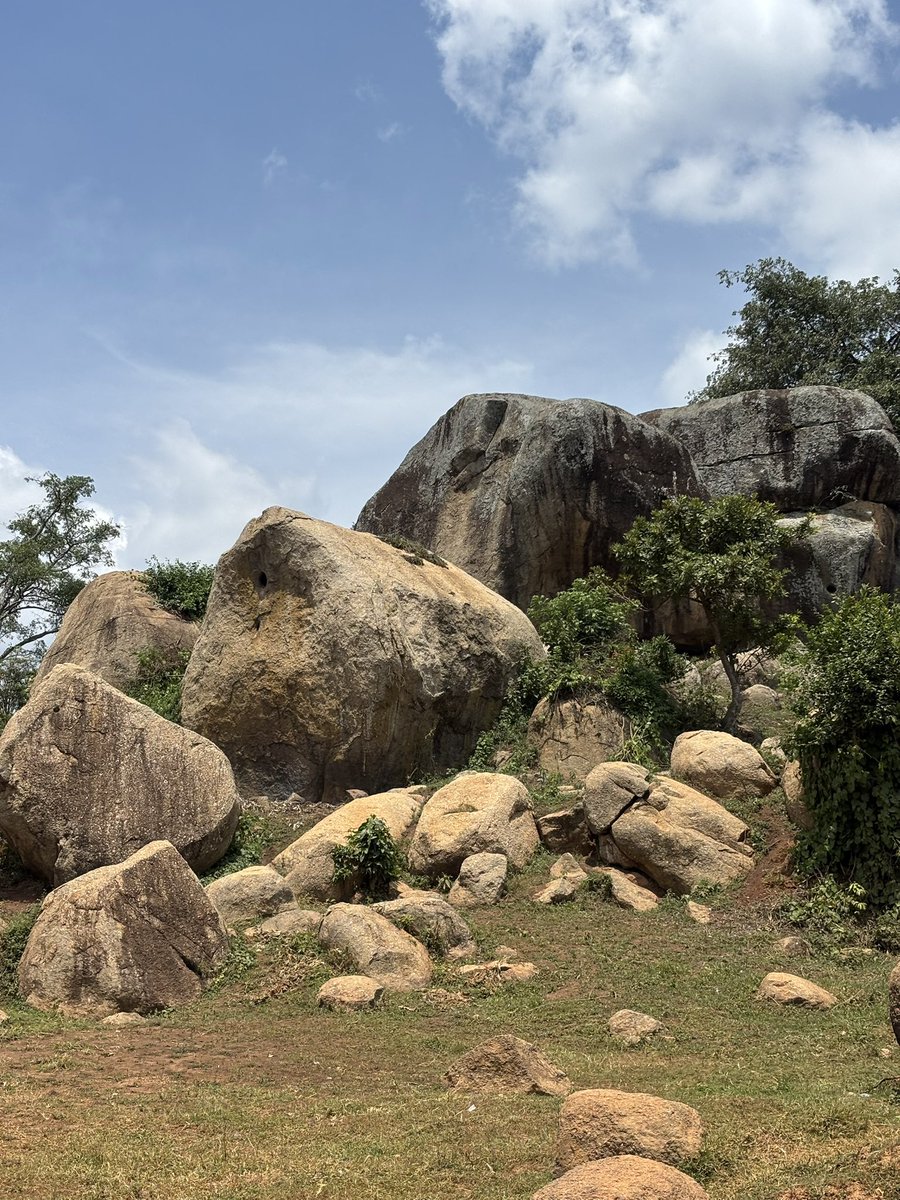 Counsel MwijukyeIvan⚖ tweet media